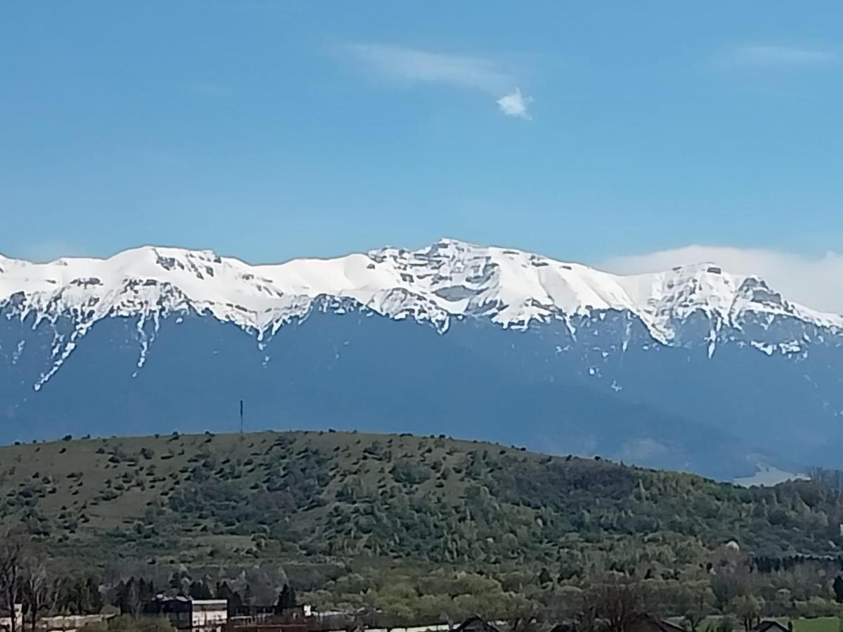 Le Nid D'Adam Διαμέρισμα Zărneşti Εξωτερικό φωτογραφία
